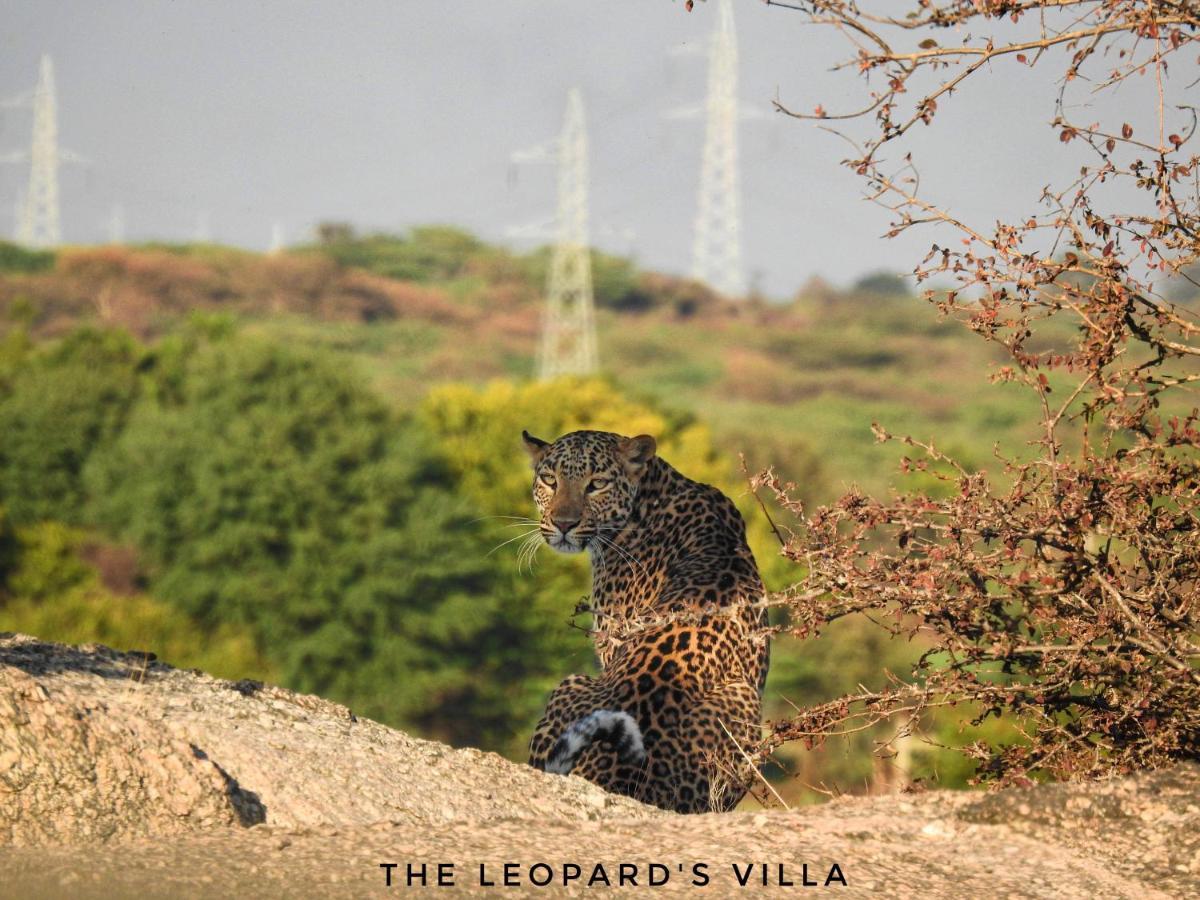 Jawai Leopard Villa Bijapur  Exterior foto