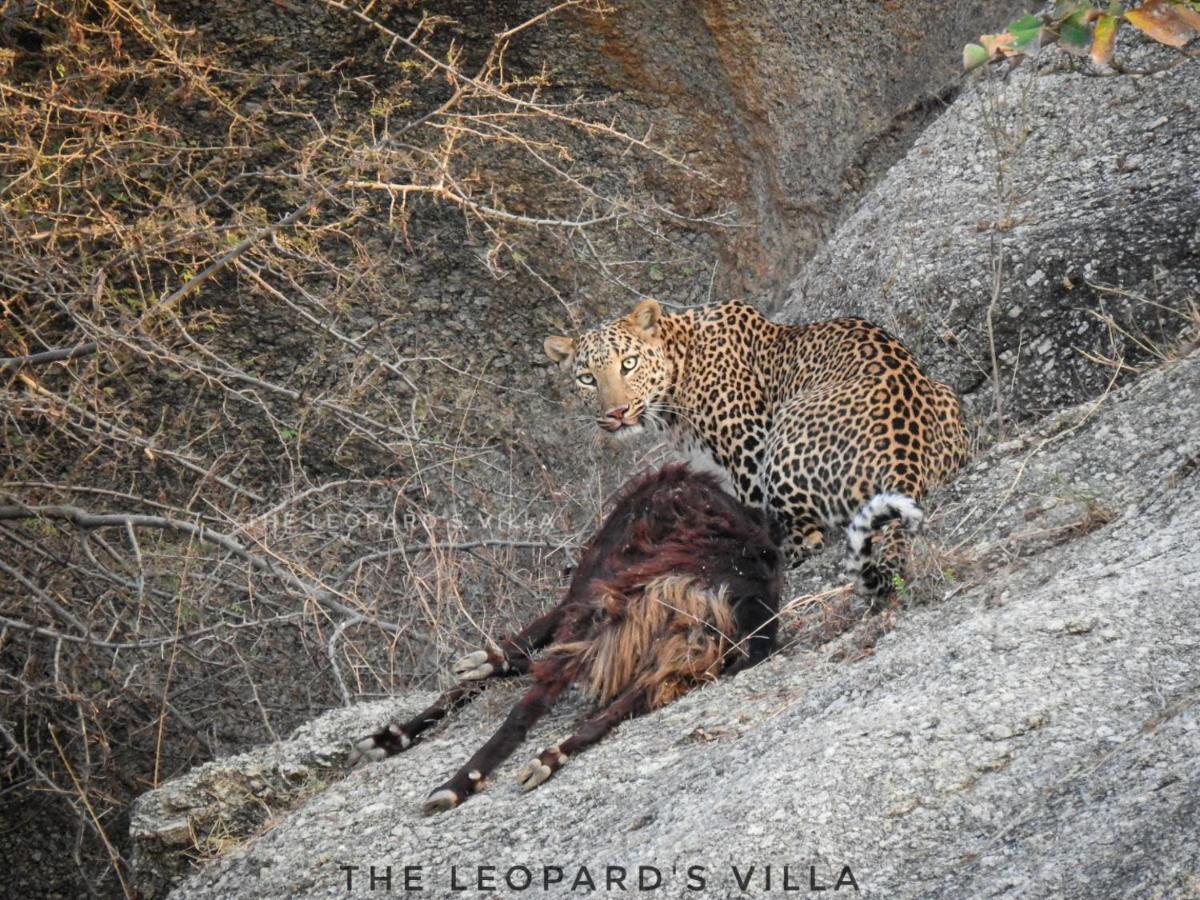 Jawai Leopard Villa Bijapur  Exterior foto