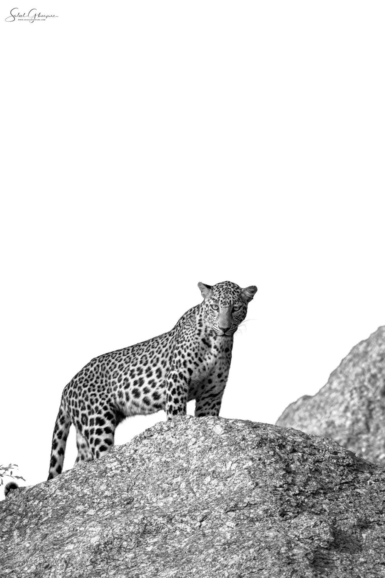 Jawai Leopard Villa Bijapur  Exterior foto