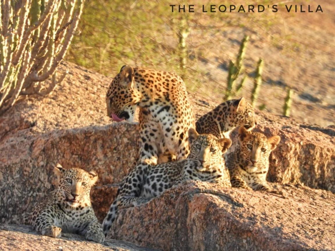 Jawai Leopard Villa Bijapur  Exterior foto